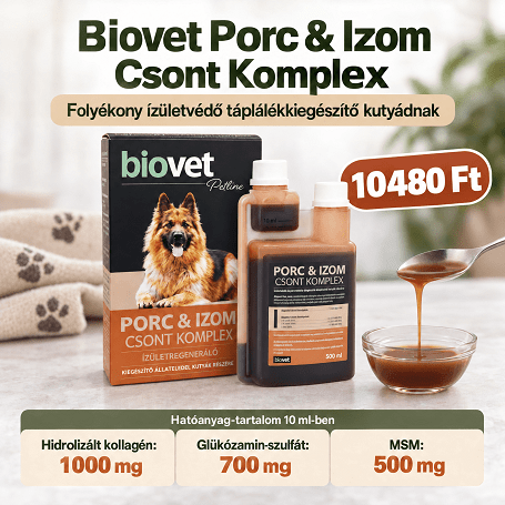 1000 mg kollagén 10 ml-ben – mit tartalmaz a Biovet ízületvédője?