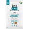Brit Care Grain-Free Adult Salmon & Potato