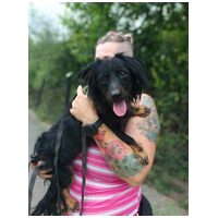 Puszedli, kan kutyus #3