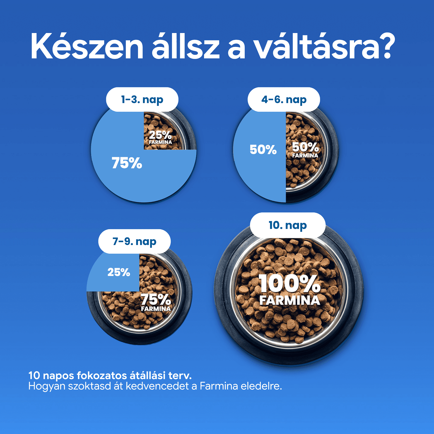 N&D Cat Grain Free Quinoa Skin & Coat Quail – Bőr- és szőrproblémákra