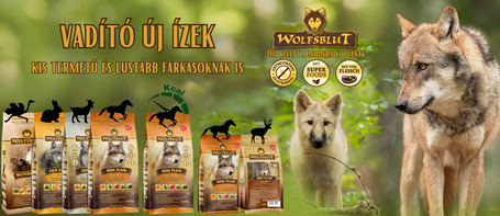Wolfsblut🐺 újdonságok – kicsiknek, diétázóknak, rajongóknak