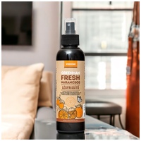 Greenman Fresh narancsos légfrissítő #2