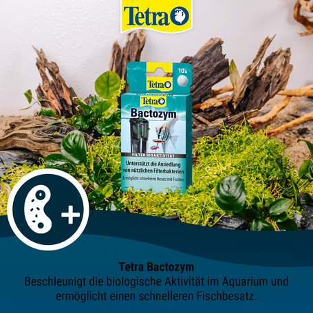 Tetra Bactozym kapszulák