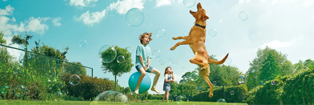 Új fejlesztésű Beaphar Flexifit termékek kutyánk és macskánk egészséges ízületeiért