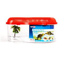 Fauna-box kis kilépő szigettel, azon pálmafával #4