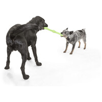 West Paw Zwig apport #3