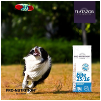 Flatazor Professionnel Elite 25/16 #2