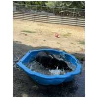 Stacy, 6 éves leányka #7