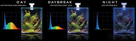 AquaEl Shrimp Set Day & Night