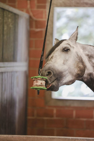 Kerbl Delizia szendvics és nyalókő tartó lovaknak