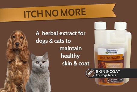 Blooming Pets Itch No More viszketés ellen
