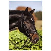 Covalliero Standard kantár #10