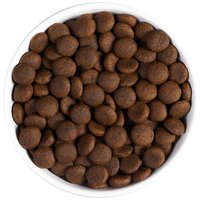 Ambrosia Dog Adult GF Beef & Fresh Salmon #9