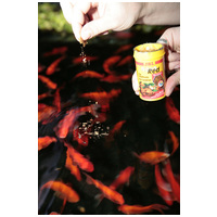 JBL ProNovo Red Flakes M lemezes alapeleség aranyhalaknak #5