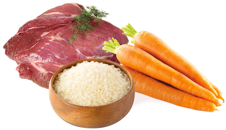 Unica Natura Unico Medium/Maxi Wild Boar