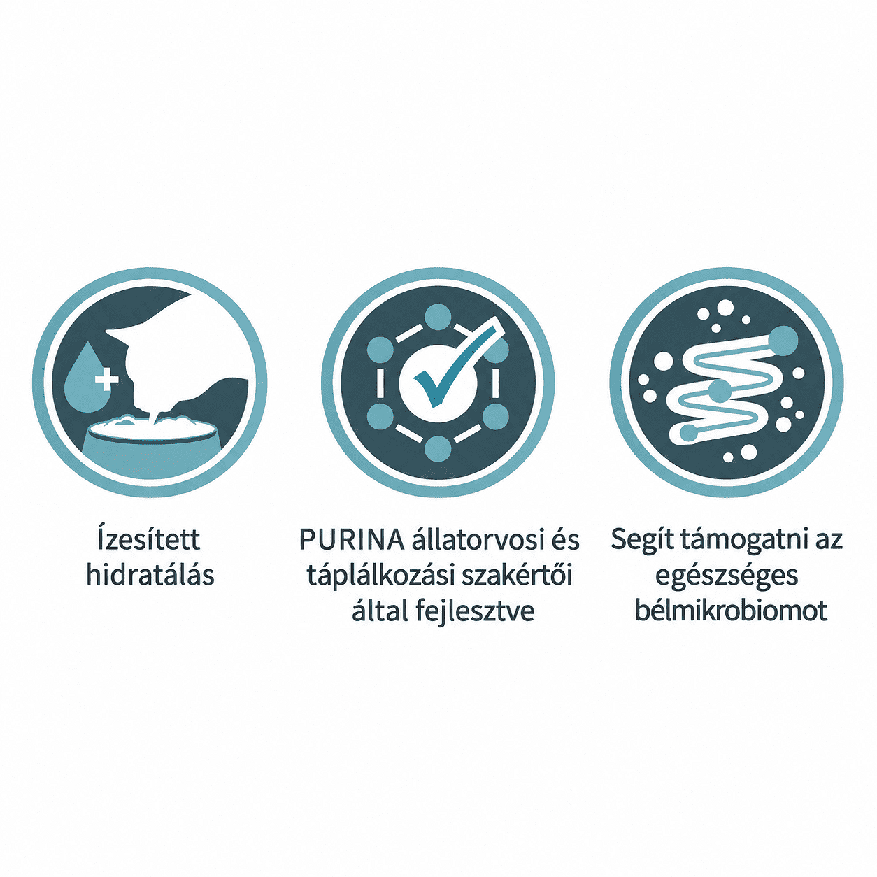 Purina ONE Hydralife Salmon snack lichid pentru pisici - zoom
