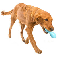 West Paw Qwizl - Jutalomfalattal tölthető rágóka #17