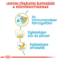 Royal Canin Golden Retriever Puppy - Golden Retriever kölyök kutya száraz táp #4