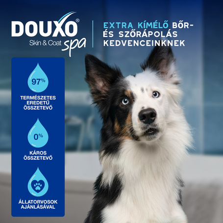 Douxo Spa fültisztító kutyáknak és macskáknak