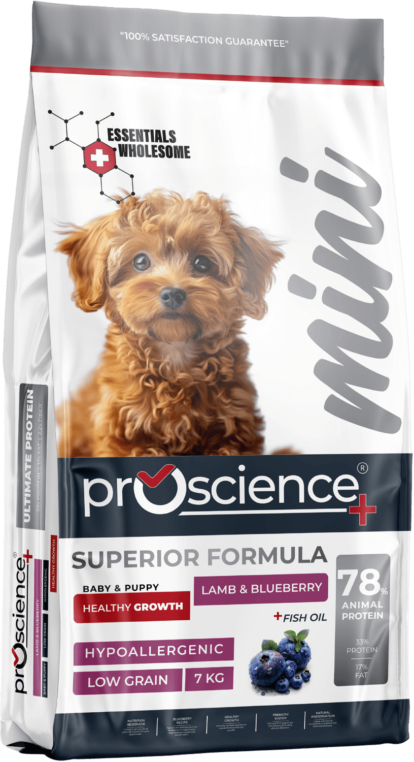 ProScience Mini Puppy Dog Lamb & Blueberry