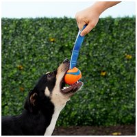 Chuckit! Ultra Tug strapabíro gumilabda hevederrel kutyáknak #2