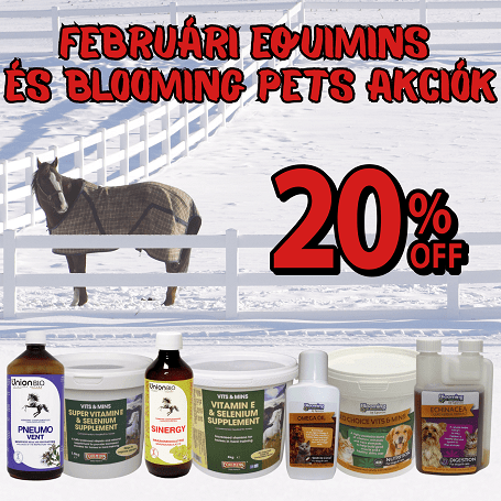 ❄️Téli vitaminpótlás lovaknak, kutyáknak és cicáknak – 20% kedvezménnyel!