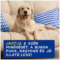 Douxo Spa hidratáló sampon kutyáknak #4