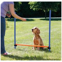 Trixie Dog Activity agility akadály #3