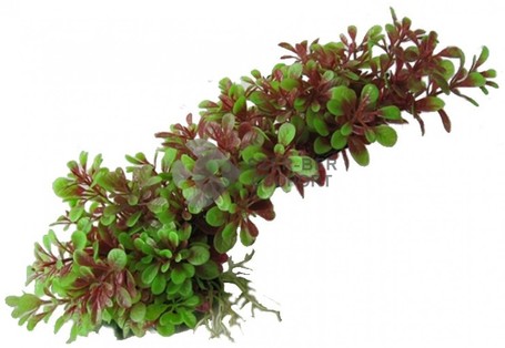 Akváriumi műnövény piros-zöld ötágú levelekkel, hajlítható szárral