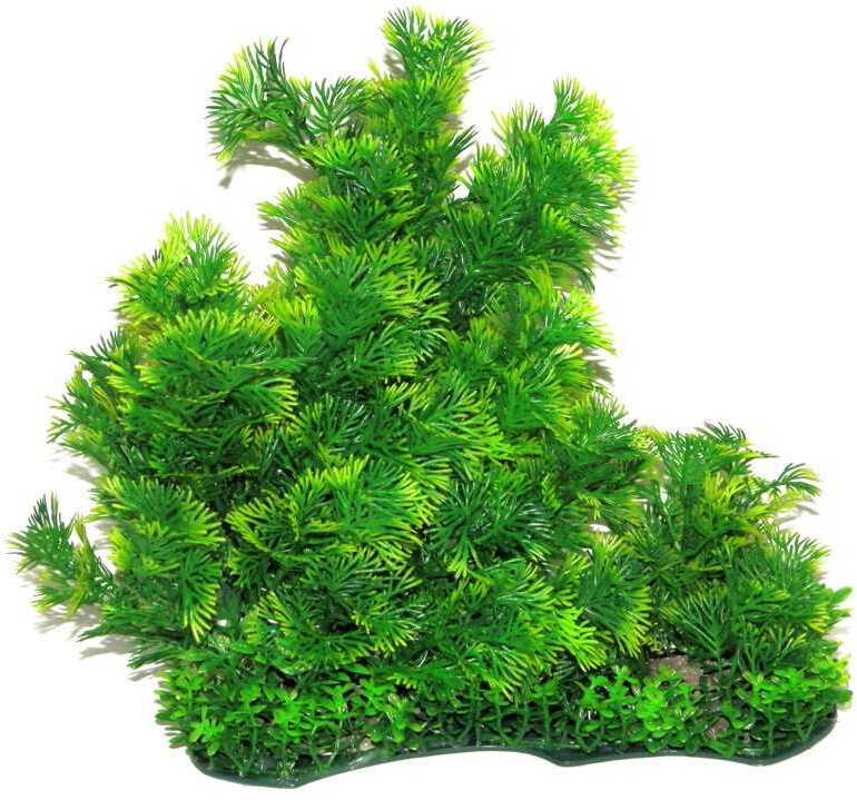 Plantă artificială cu ace verzi, vârfuri de frunze de culoare verde deschis