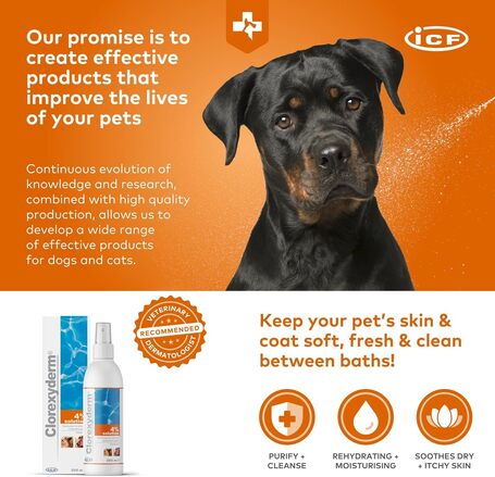 Clorexyderm 4%-os oldat, fertőtlenítőszer