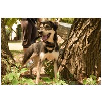 Stacy, 6 éves leányka #3