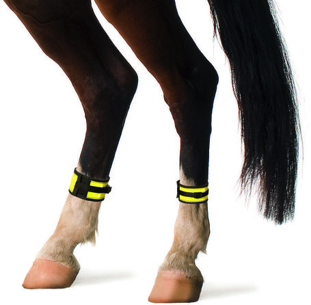 Kerbl fényvisszaverő lábcsat lovaknak