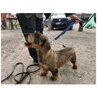 Marcus, 4 éves, kan #2