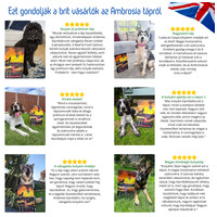 Ambrosia Dog Grain Free Senior, Light & Sterilized #14