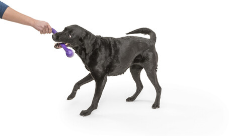 West Paw Zwig apport