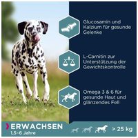 Eukanuba Adult Large Salmon & Barley | Lazacos táp felnőtt kutyáknak #3