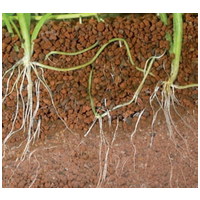 JBL Manado speciális növényi táptalaj akváriumokba #6