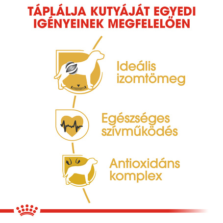 Royal Canin Boxer Adult - Boxer felnőtt kutya száraz táp