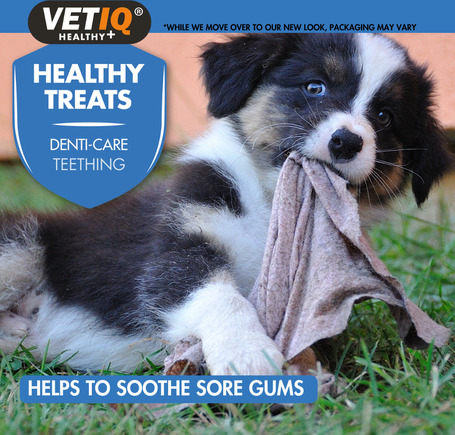 Vetiq Healthy Treats Denti-Care Teething jutalomfalat kölyökkutyáknak