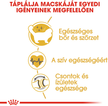 Royal Canin Ragdoll Adult - Ragdoll felnőtt macska száraz táp