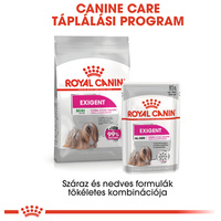 Royal Canin Mini Exigent - Válogatós felnőtt kistestű kutya száraz táp #6