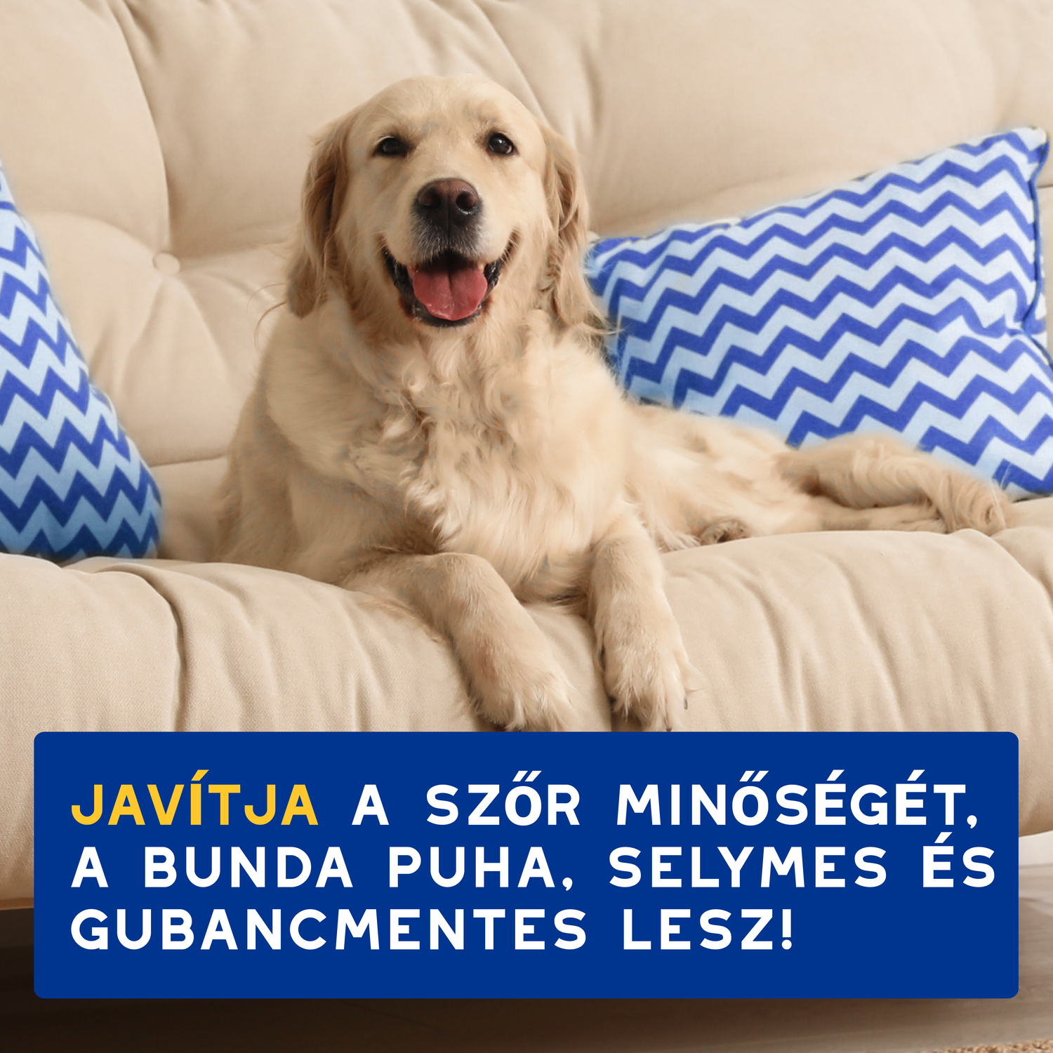 Douxo Spa balsam pentru câini - zoom