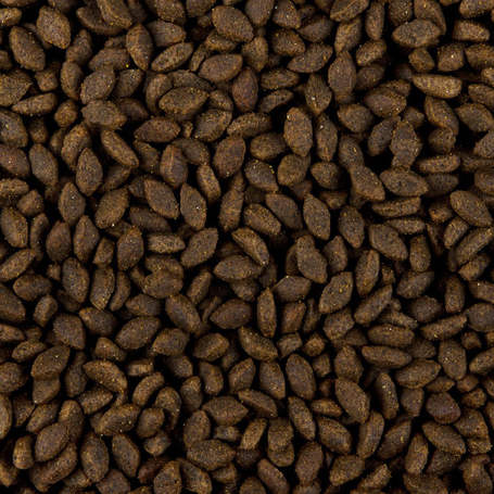 Sam's Field Grain Free Adult Beef