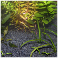 JBL Sansibar Dark Black természetes akvárium talaj (fekete) #4