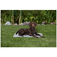 Trixie Soft Cooling Mat - szürke hűtőmatrac kutyák részére #8