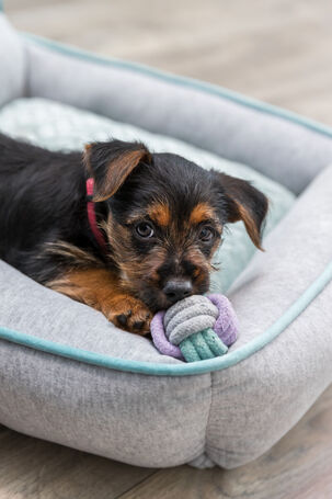 Trixie rágható súlyzó kötélből