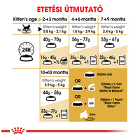 Royal Canin British Shorthair Kitten - Brit rövidszőrű kölyök macska száraz táp #6