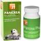 JT Pancrea Pharma por