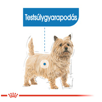 Royal Canin Light Weight Care - Nedves táp hízásra hajlamos felnőtt kutyák részére #2